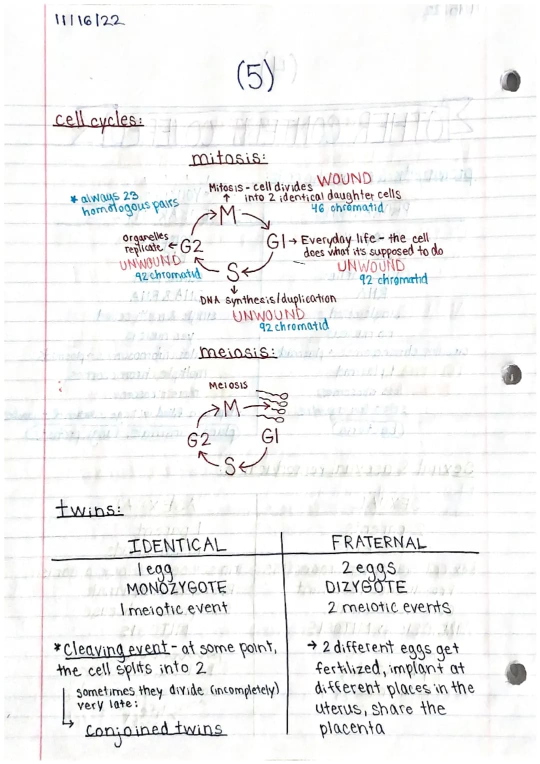 11/15/22
Genetics 1 Study Guide (1)
MITOSIS & MEIOSIS
names of each step: PMAT, PMATI, PMAT II
↳ prophase, metaphase, an aphase, telephase
p