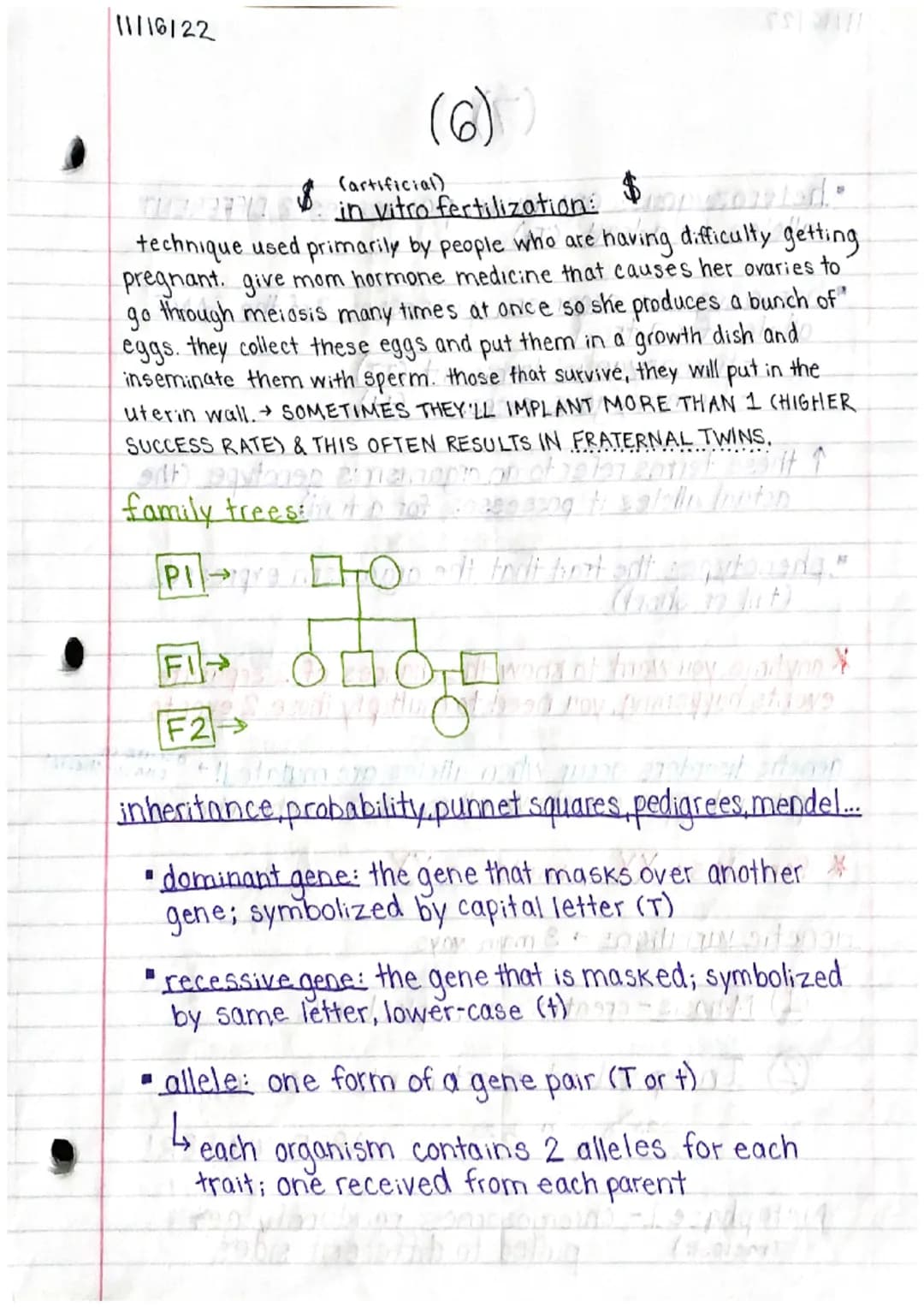 11/15/22
Genetics 1 Study Guide (1)
MITOSIS & MEIOSIS
names of each step: PMAT, PMATI, PMAT II
↳ prophase, metaphase, an aphase, telephase
p