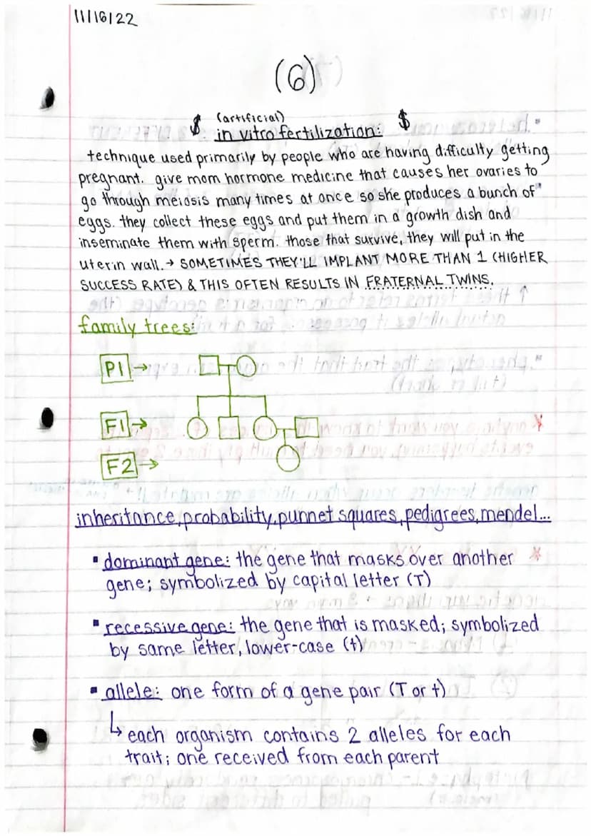 11/15/22
Genetics 1 Study Guide (1)
MITOSIS & MEIOSIS
names of each step: PMAT, PMATI, PMAT II
↳ prophase, metaphase, an aphase, telephase
p