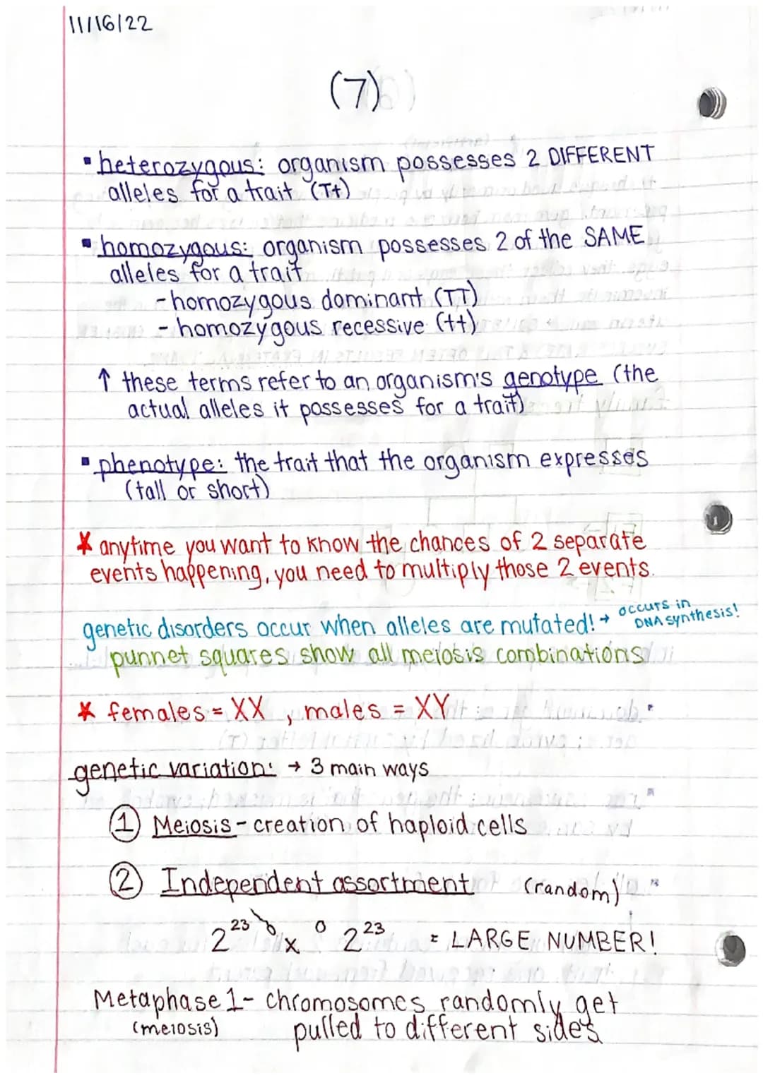 11/15/22
Genetics 1 Study Guide (1)
MITOSIS & MEIOSIS
names of each step: PMAT, PMATI, PMAT II
↳ prophase, metaphase, an aphase, telephase
p