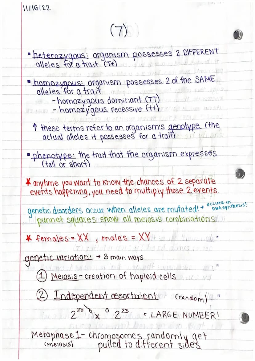 11/15/22
Genetics 1 Study Guide (1)
MITOSIS & MEIOSIS
names of each step: PMAT, PMATI, PMAT II
↳ prophase, metaphase, an aphase, telephase
p
