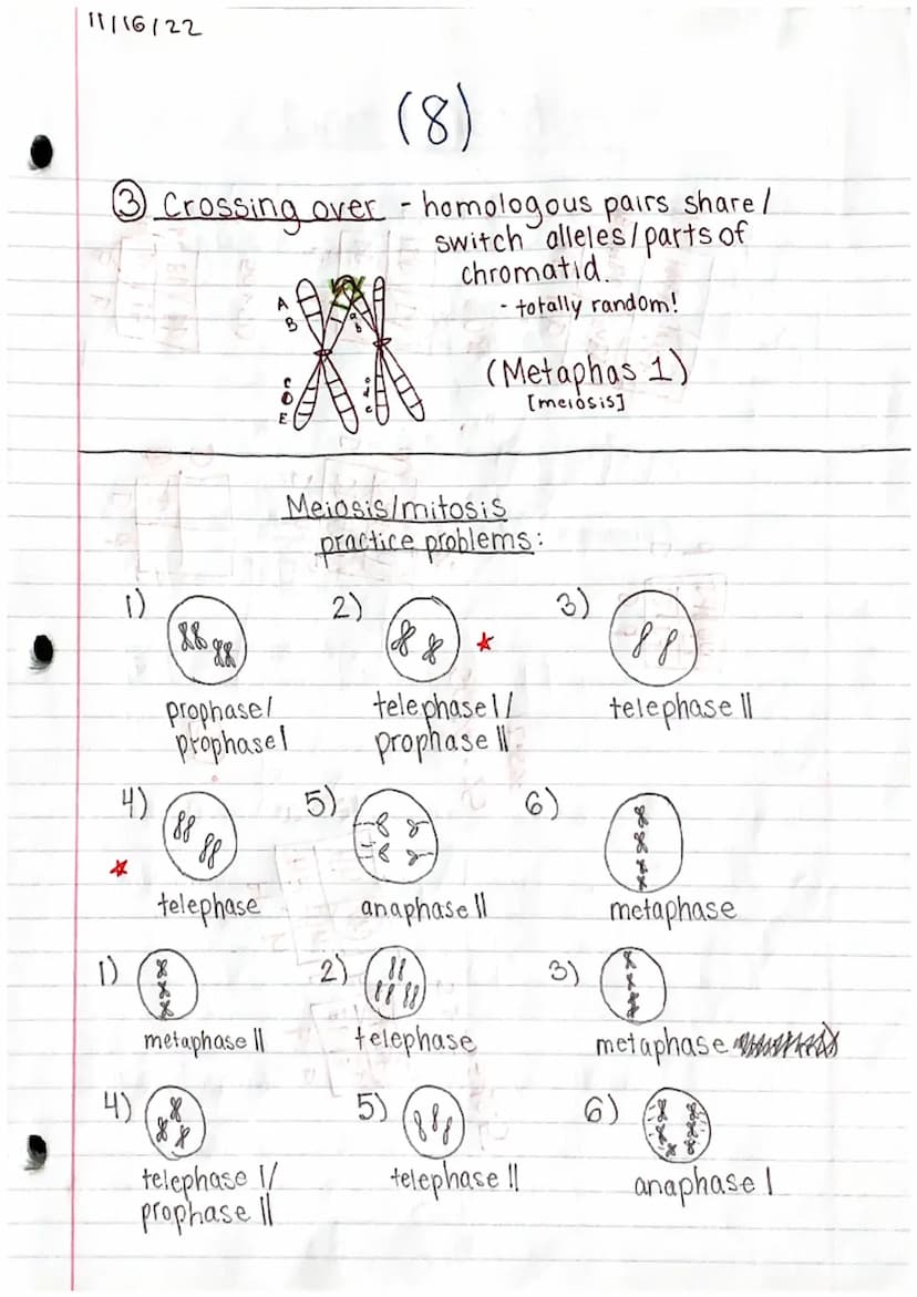11/15/22
Genetics 1 Study Guide (1)
MITOSIS & MEIOSIS
names of each step: PMAT, PMATI, PMAT II
↳ prophase, metaphase, an aphase, telephase
p