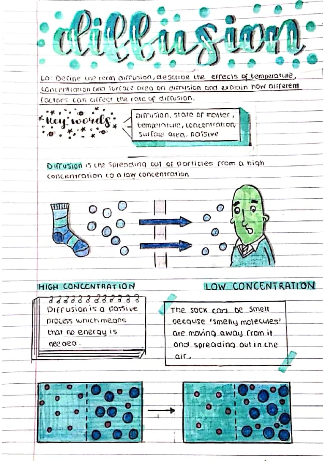 Diffusion and Osmosis Explained: GCSE Notes