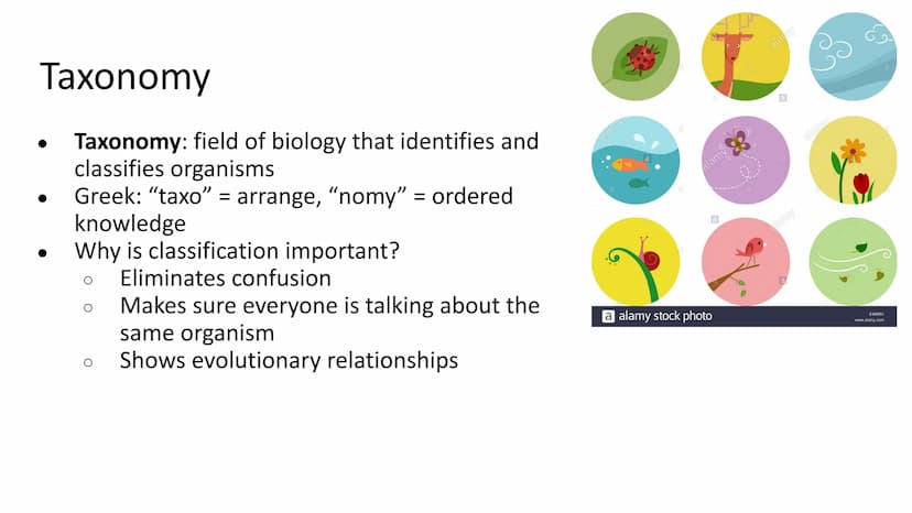 Spring Final Exam 2023 Final
Review Taxonomy
Taxonomy: field of biology that identifies and
classifies organisms
Greek: "taxo" = arrange, "n