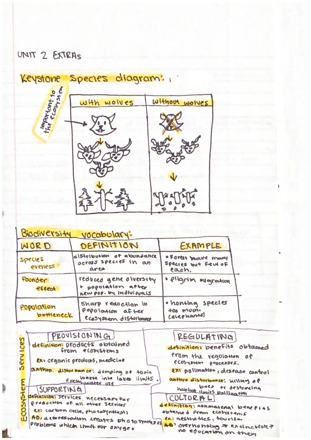 1
APES UNIT 2: REVIEW
- INTRO TO BIODIVERSITY.
1. biodiversity in an ecosystem includes genetics, species,
and habitat diversity
2. more gen