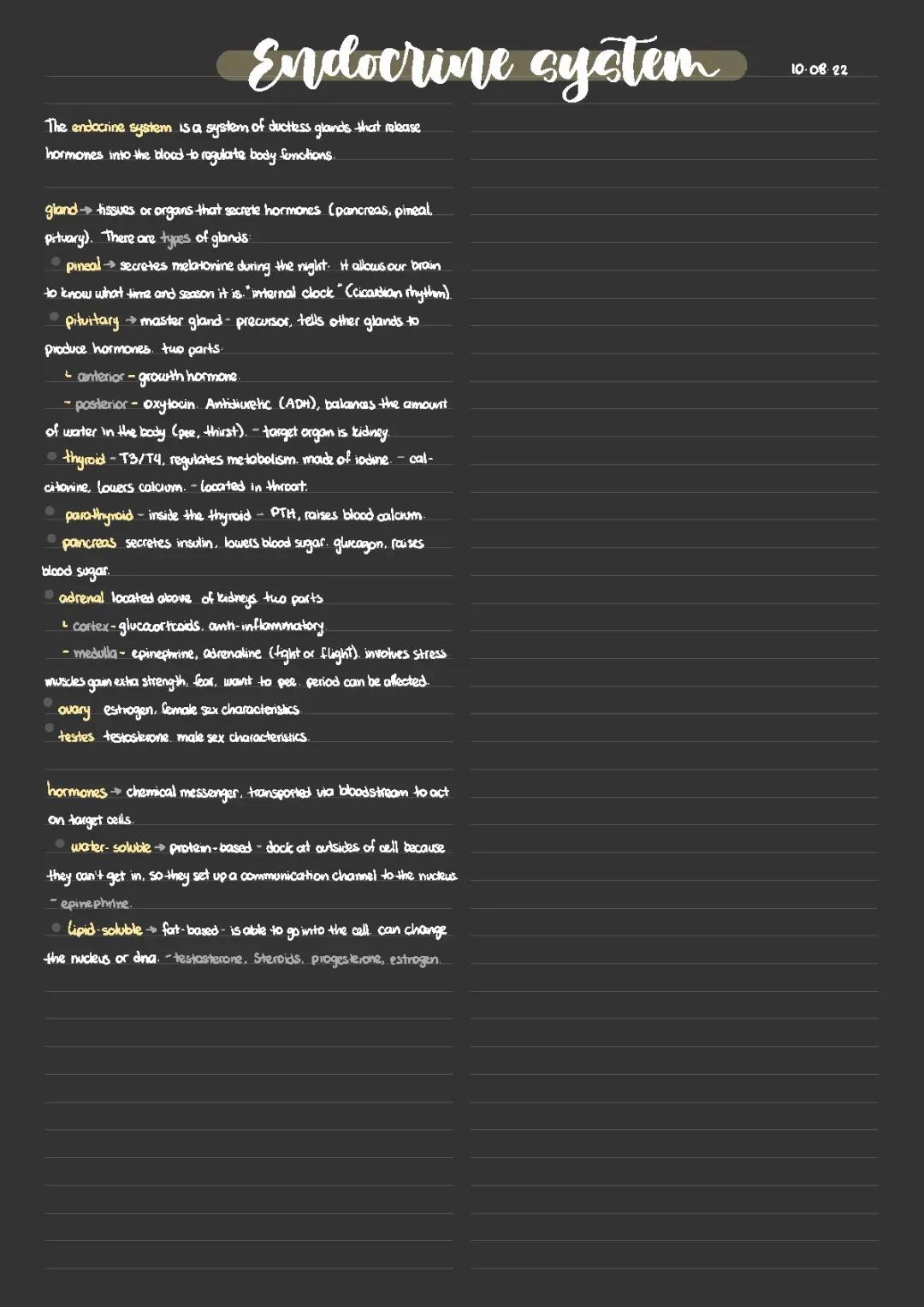Understanding the Endocrine System: Key Glands and Their Hormones