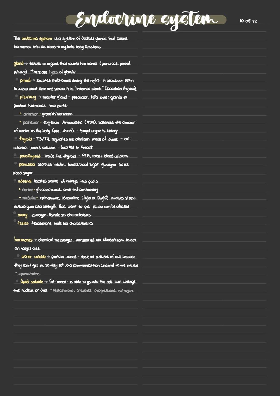 Endocrine system
The endocrine system is a system of ductless glands that release
hormones into the blood to regulate body functions.
gland 