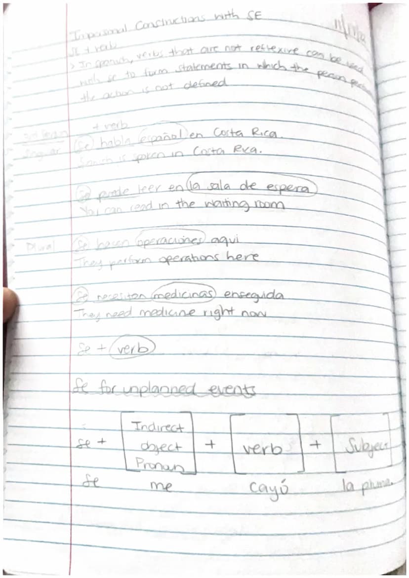The Imperfect of Regular verbs
Bailaba
Bailabas
ut/el/ella
nosotros las
varetives far
vas lellos lellas
Yo
tu
ud lel/ella
nosotros/as
Lavar

