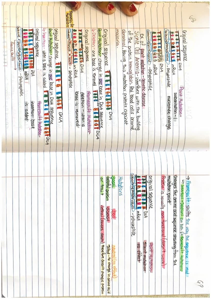 DNA Mutations Edpuzzle
ONA Mutation
1
→ changes in the nucleotide (base) sequence
that makes up a strand of DNA
Causes
Random mistakes durin