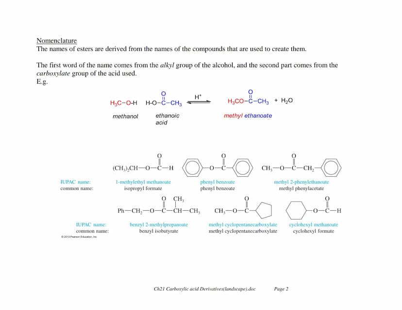 Carboxylic acid Derivatives
Carboxylic derivatives are described as compounds that can be converted to carboxylic acids via simple acidic or