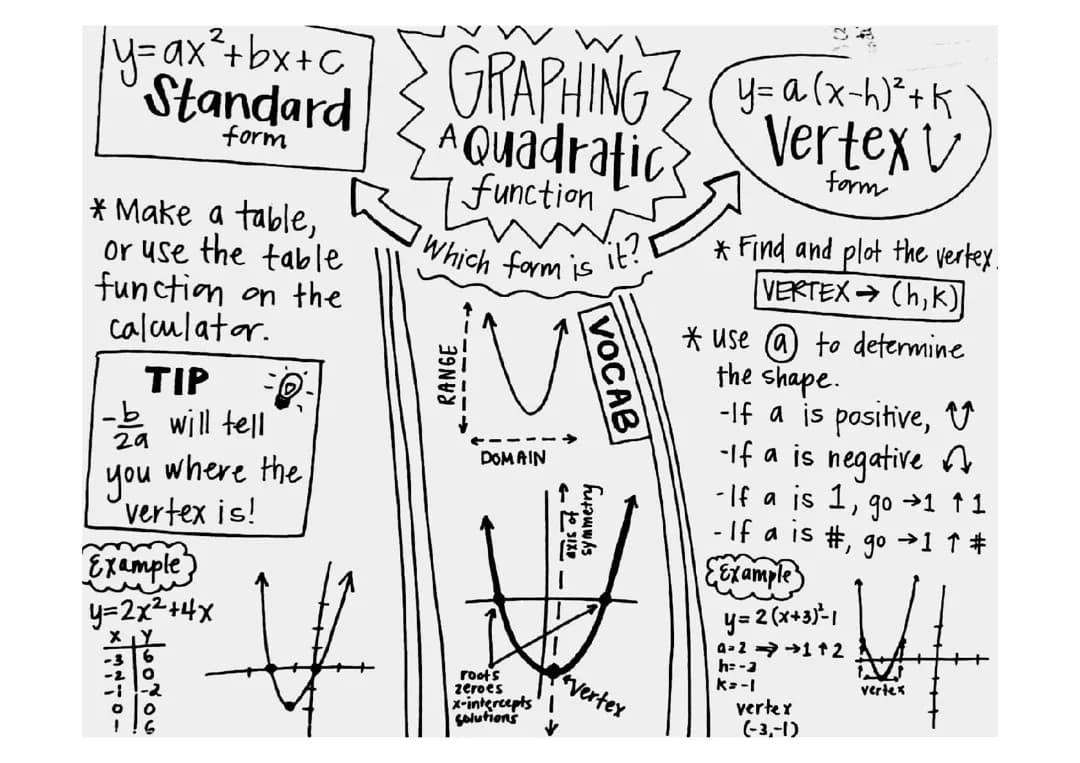 Graphing Quadratic Functions and Understanding Probability: Easy Steps for Kids