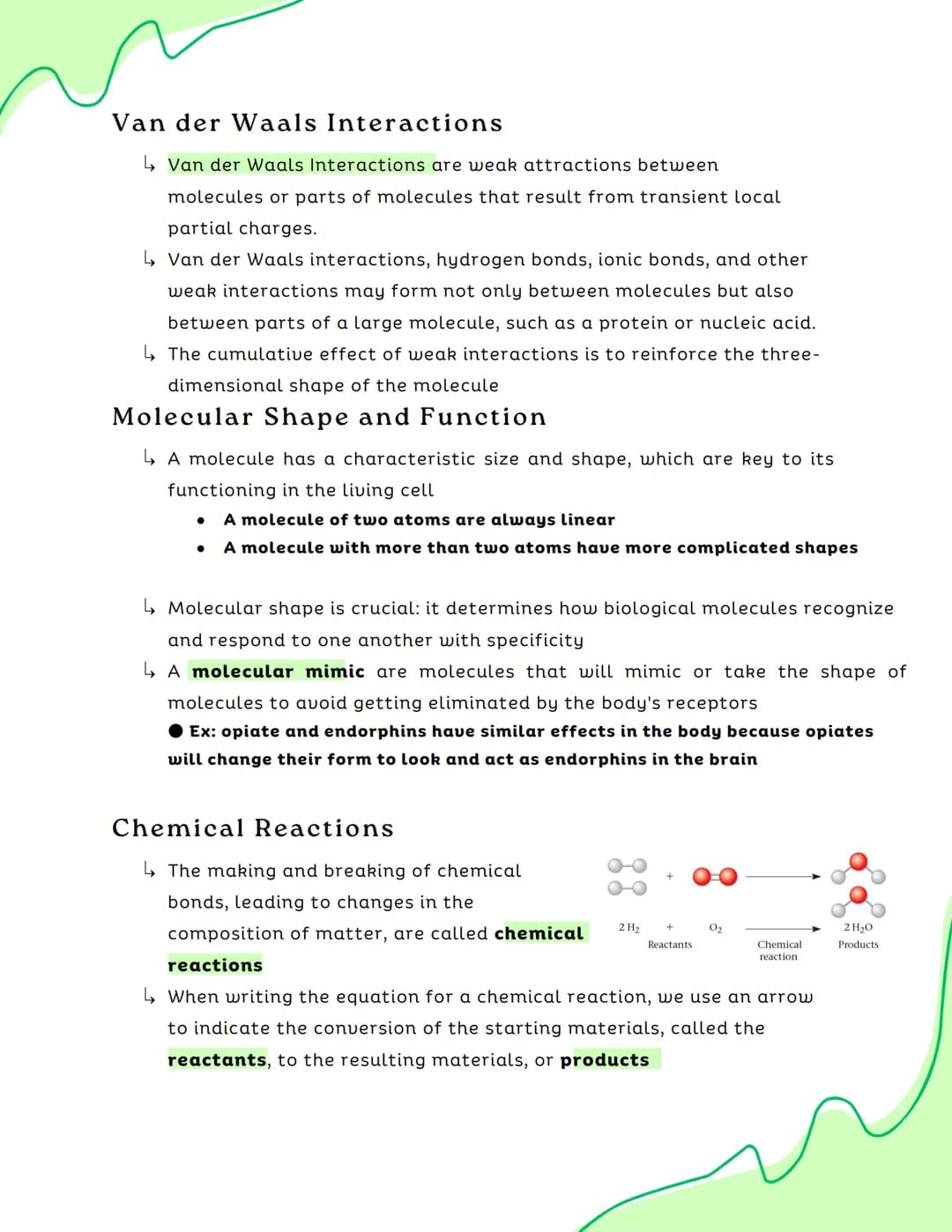 Oxygen
atom
Ch.2 Textbook Notes
Chapter 1 Review
↳ Atoms, molecules, cells, organs
● Level of biological organization from less complex to m