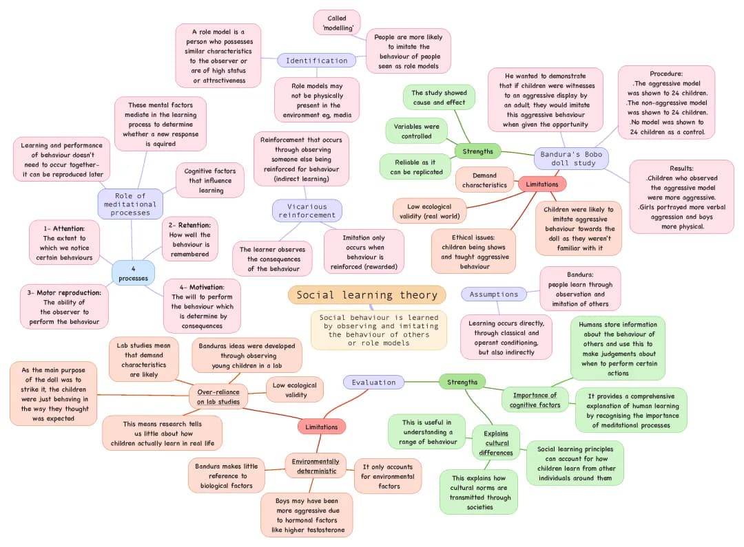 Social learning theory 