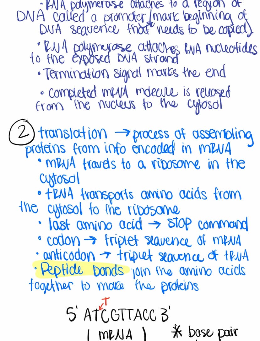 
<h2 id="overviewofdnamoleculedoublehelix">Overview of DNA Molecule Double Helix</h2>
<p>When we consider the structure of a DNA molecule, t