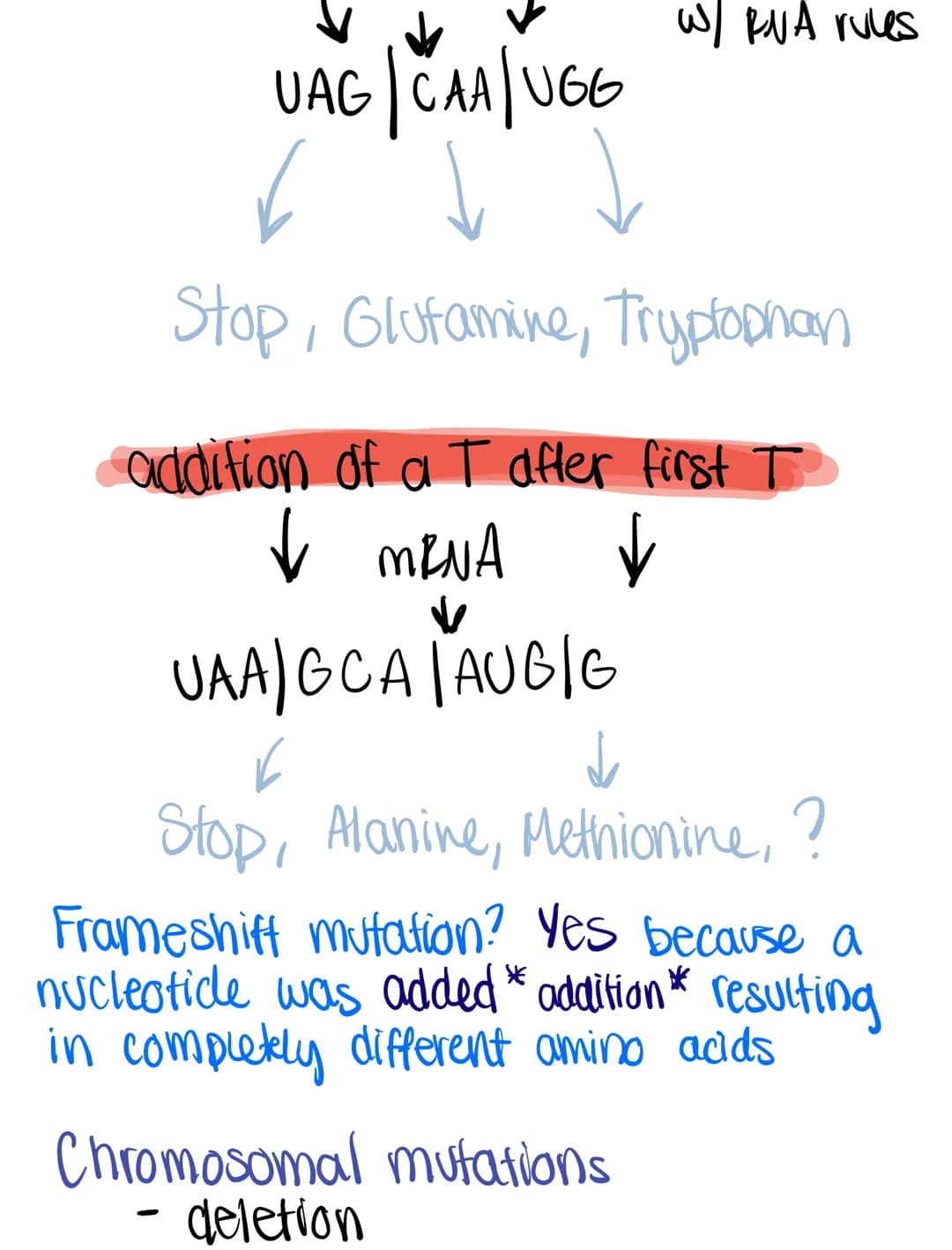 
<h2 id="overviewofdnamoleculedoublehelix">Overview of DNA Molecule Double Helix</h2>
<p>When we consider the structure of a DNA molecule, t