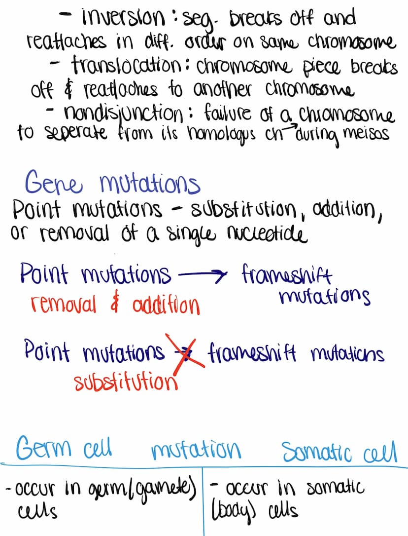 
<h2 id="overviewofdnamoleculedoublehelix">Overview of DNA Molecule Double Helix</h2>
<p>When we consider the structure of a DNA molecule, t