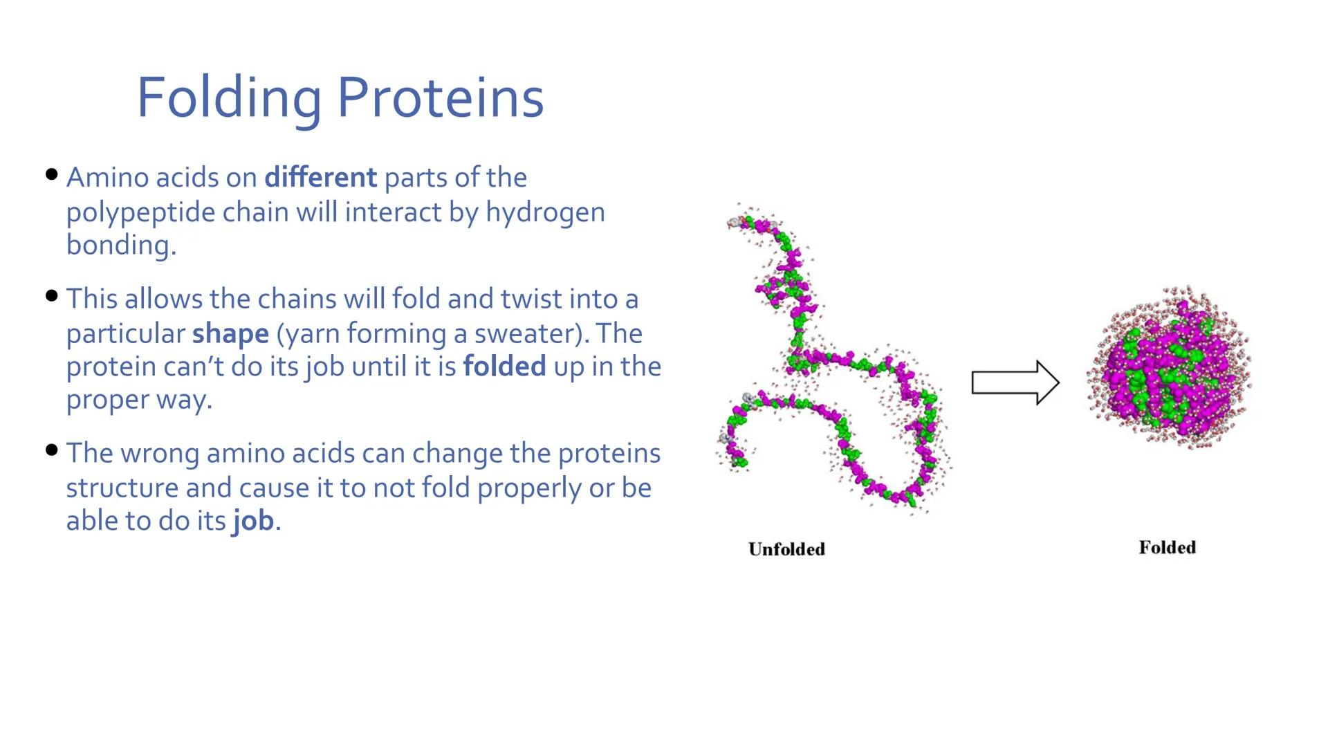 Proteins
Unit 1.7-1.10 What are proteins?
Large class of very diverse compounds.
Have a range of functions:
• form hair and fur,
• make up m