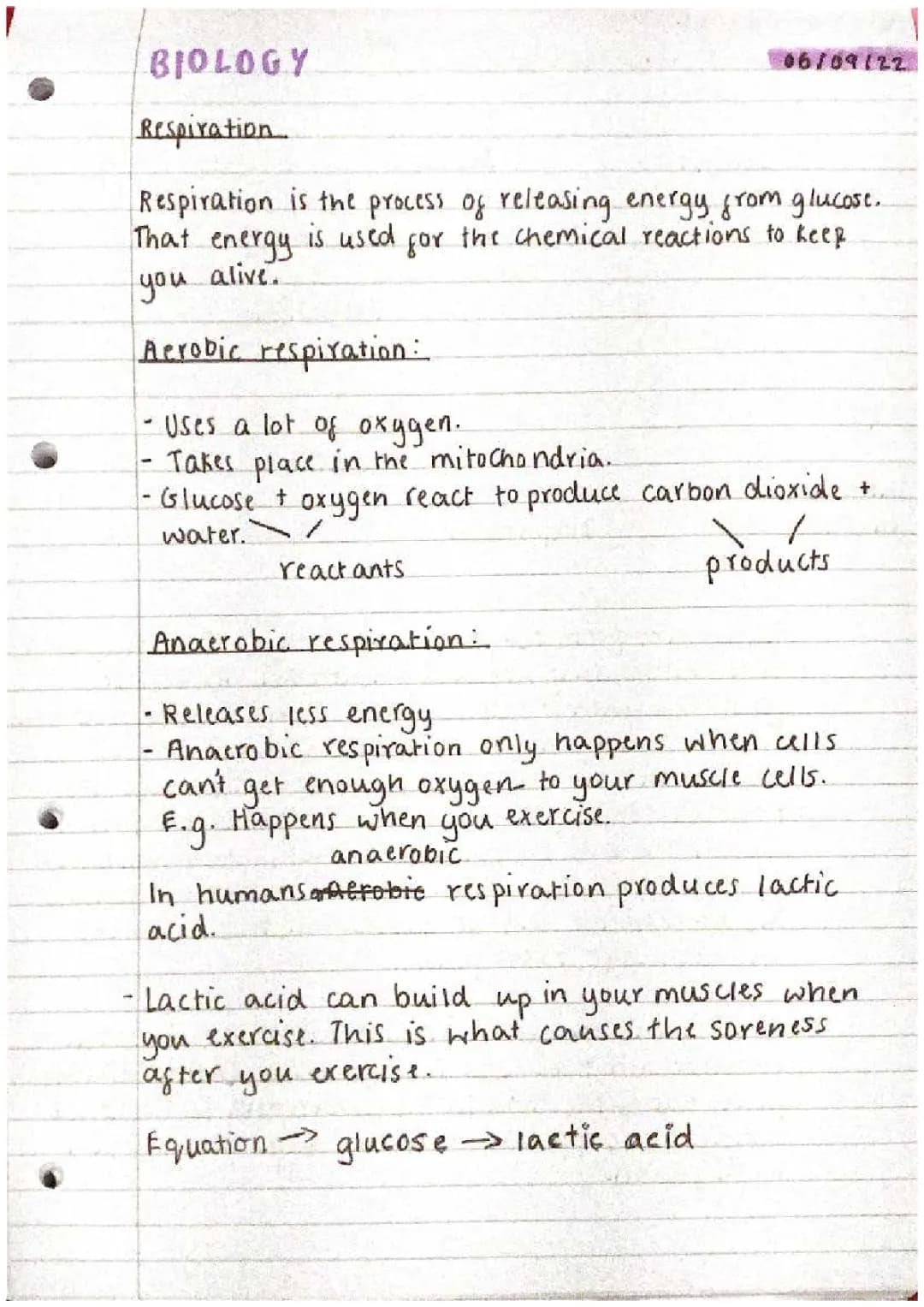Fun Facts About Respiration: Aerobic vs. Anaerobic + Gas Exchange in Lungs
