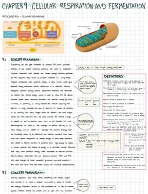 Know Cellular Respiration and Fermentation  thumbnail