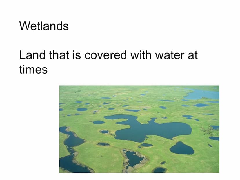 Chapter 6
Video on landforms of southeast Hurricane Season -
The time of year
when hurricanes
mainly occur.
June - Beginning of
November
MAY