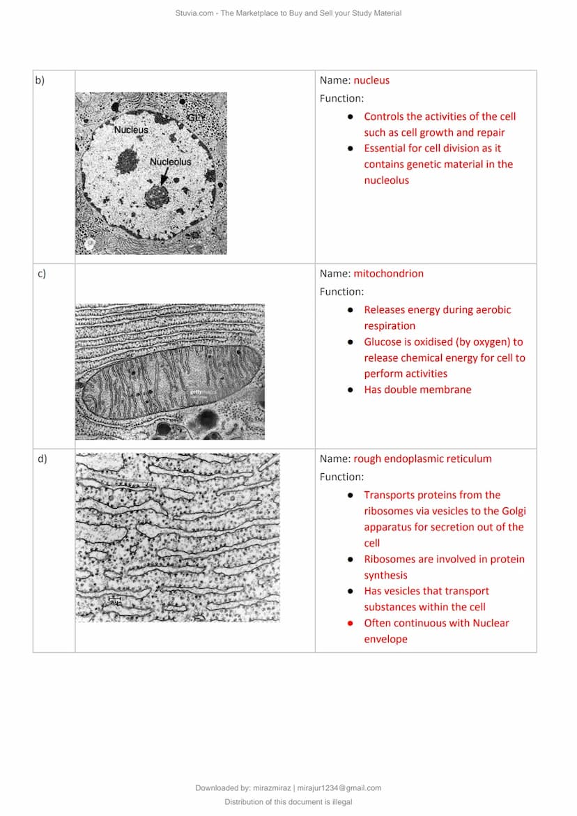 a)
Cell Structure & Organisation
An organelle is a tiny cellular structure within the cytoplasm that performs specific functions
within a ce