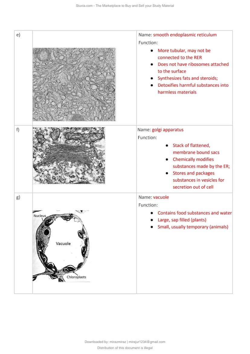 a)
Cell Structure & Organisation
An organelle is a tiny cellular structure within the cytoplasm that performs specific functions
within a ce