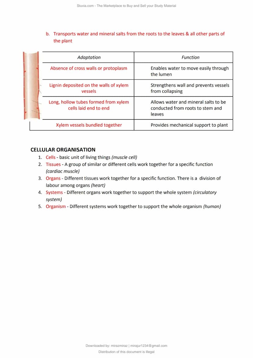 a)
Cell Structure & Organisation
An organelle is a tiny cellular structure within the cytoplasm that performs specific functions
within a ce