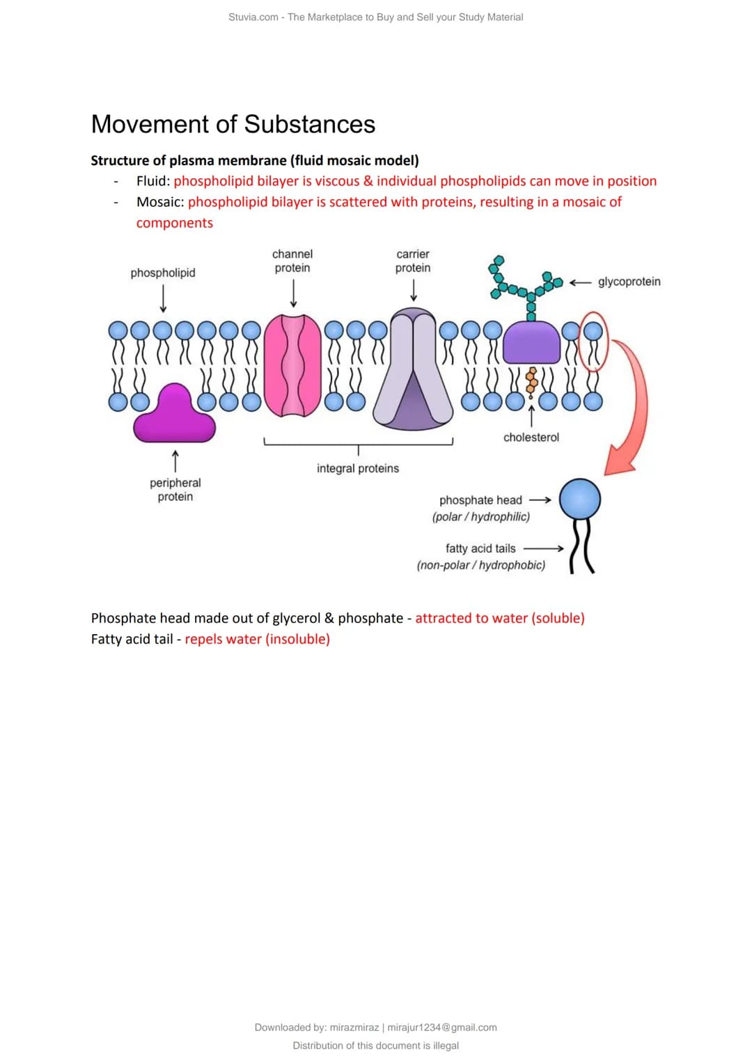 a)
Cell Structure & Organisation
An organelle is a tiny cellular structure within the cytoplasm that performs specific functions
within a ce