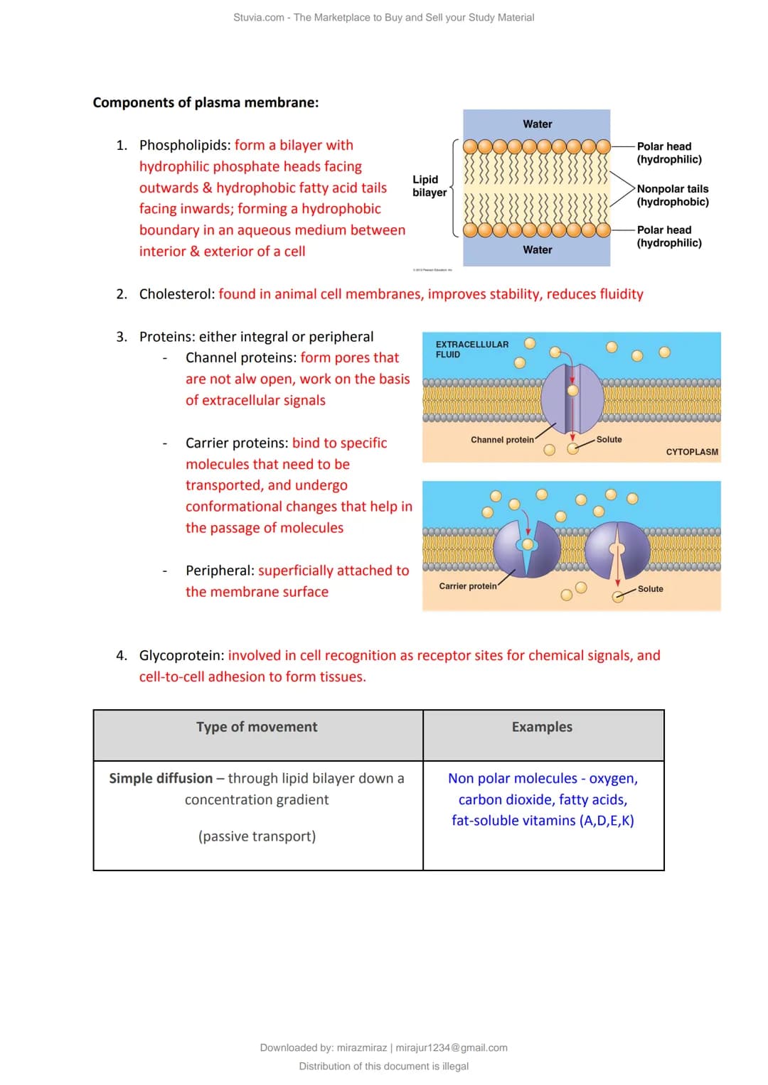 a)
Cell Structure & Organisation
An organelle is a tiny cellular structure within the cytoplasm that performs specific functions
within a ce