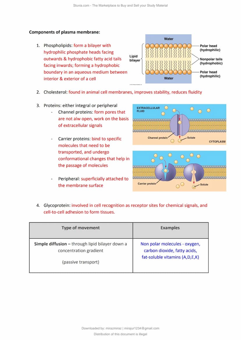 a)
Cell Structure & Organisation
An organelle is a tiny cellular structure within the cytoplasm that performs specific functions
within a ce