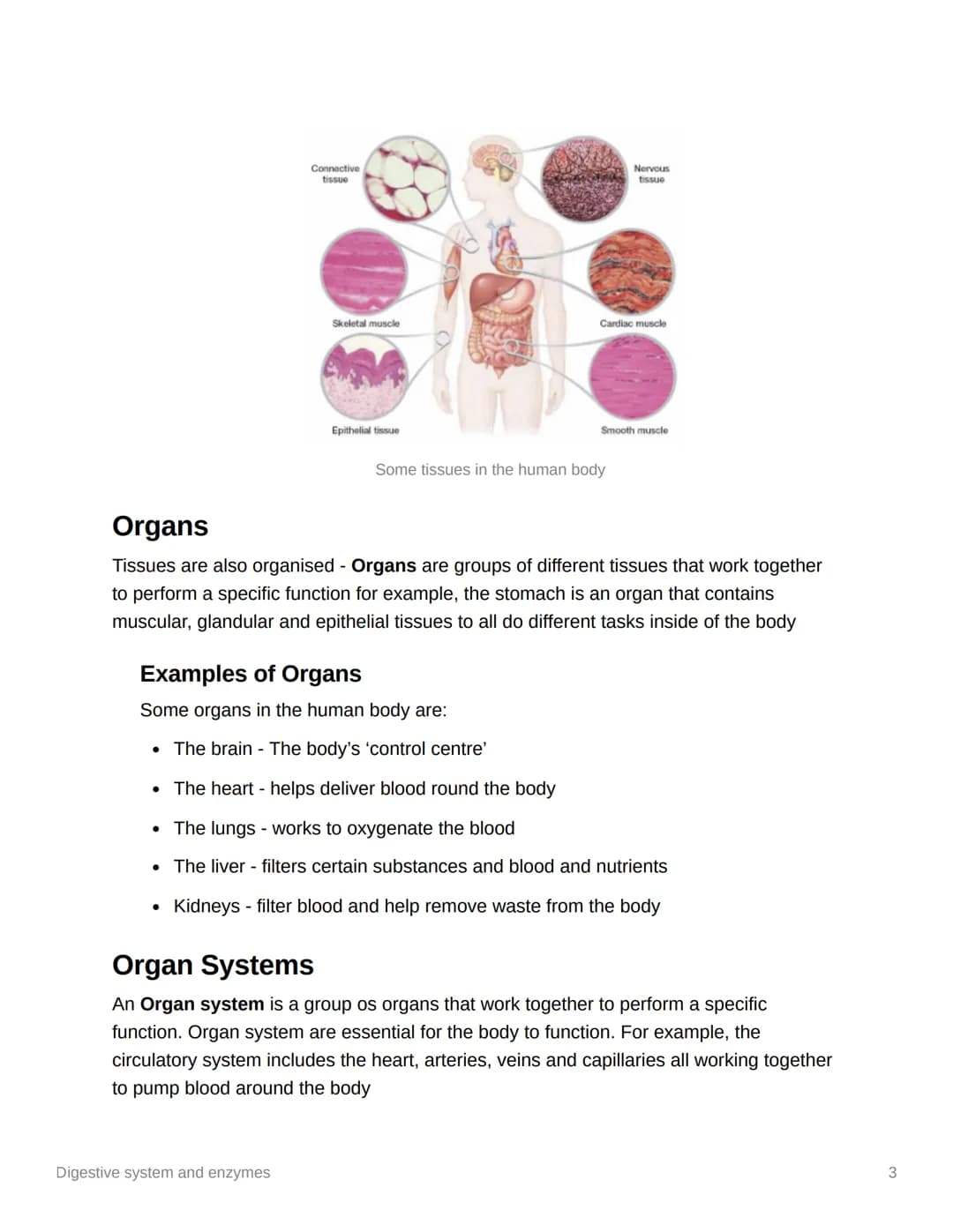 
<p>Enzymes in the digestive system and their functions play a crucial role in breaking down food and ensuring that the body can absorb esse