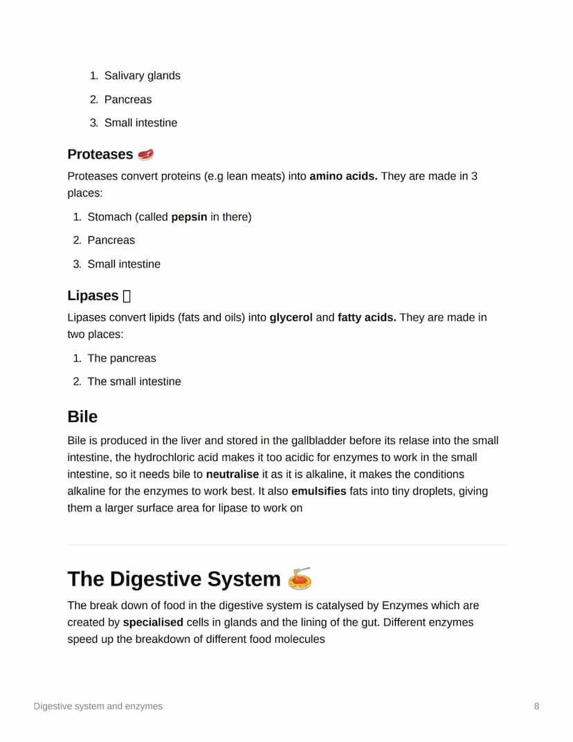 
<p>Enzymes in the digestive system and their functions play a crucial role in breaking down food and ensuring that the body can absorb esse