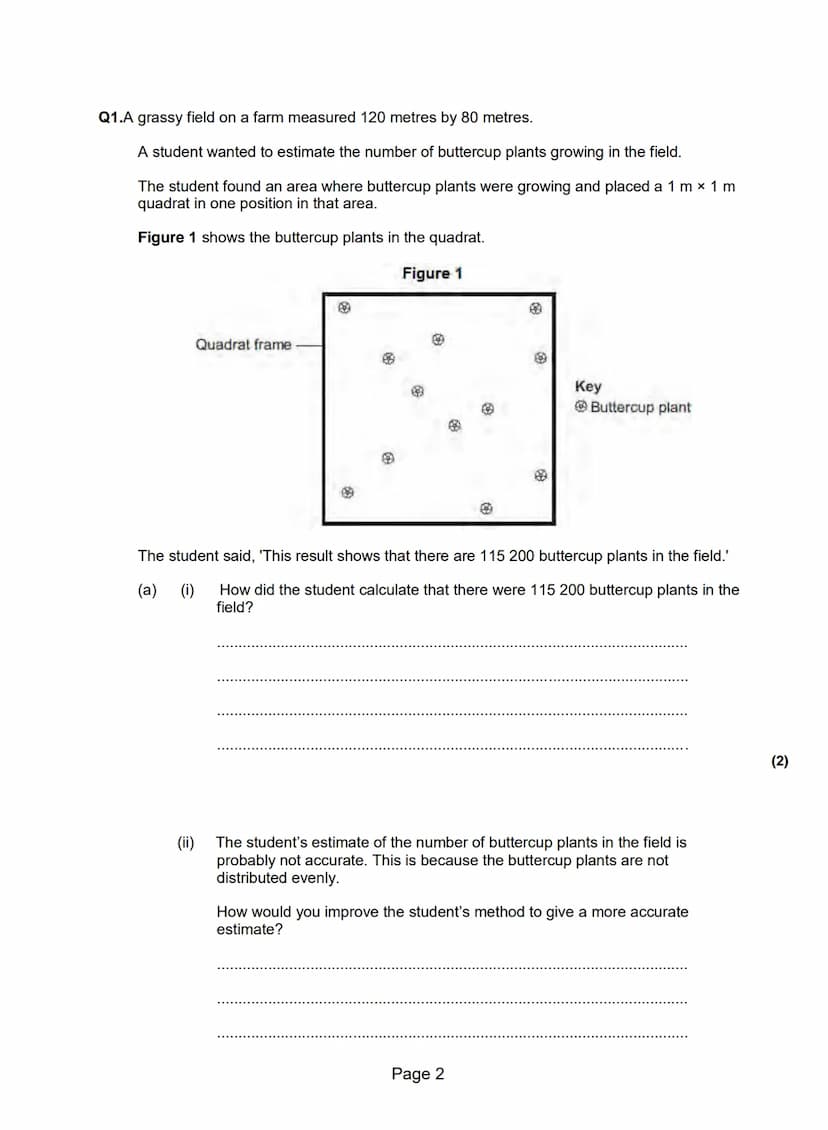 Q1.A grassy field on a farm measured 120 metres by 80 metres.
A student wanted to estimate the number of buttercup plants growing in the fie