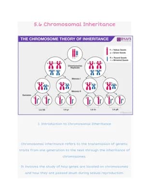 Know 5.6 Chromosomal Inheritance thumbnail