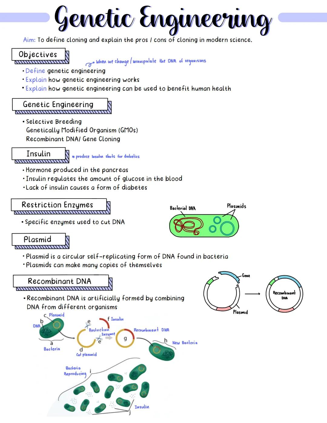 Genetic Engineering
Aim: To define cloning and explain the pros / cons of cloning in modern science.
Objectives
Define genetic engineering
•