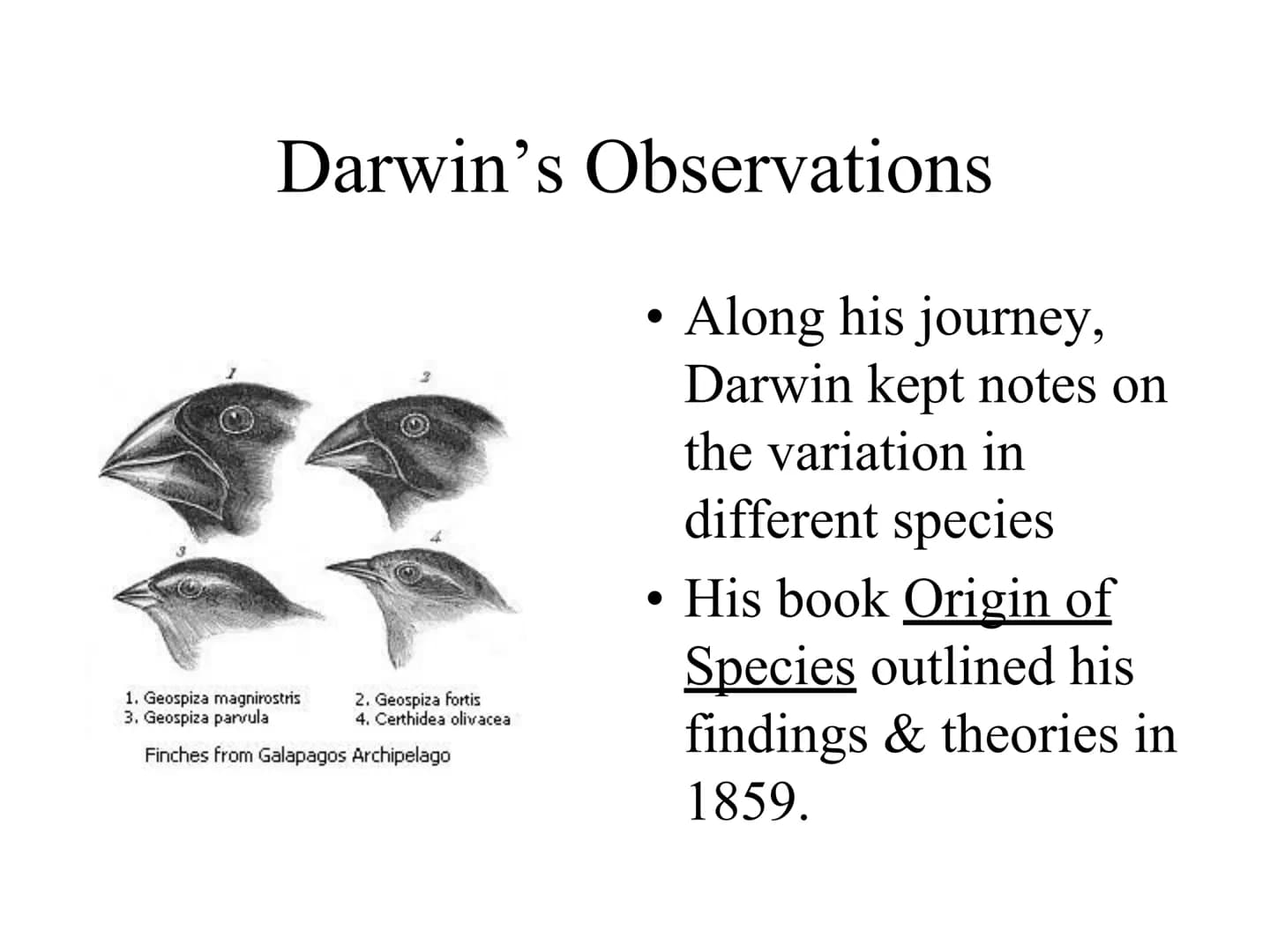 Fun Facts About How Genes and Evolution Work