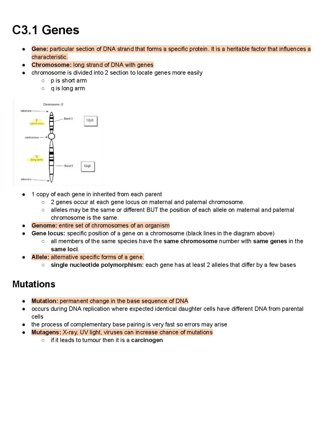 IB Biology HL Chapter 3 Notes PDF: Genetics, Mutations, and Sickle Cell Anemia