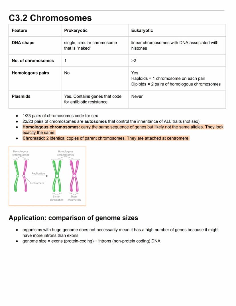 C3.1 Genes
● Gene: particular section of DNA strand that forms a specific protein. It is a heritable factor that influences a
characteristic