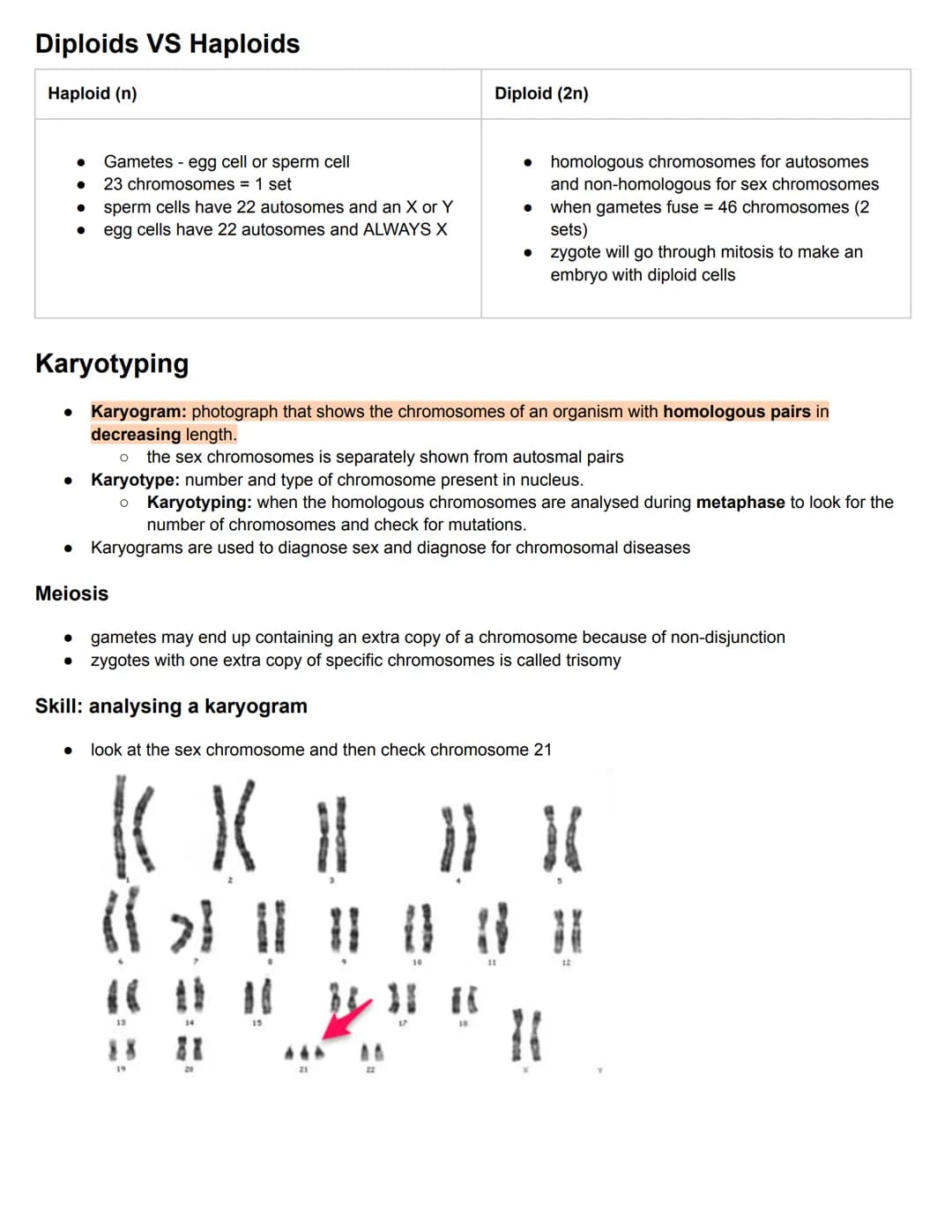 C3.1 Genes
● Gene: particular section of DNA strand that forms a specific protein. It is a heritable factor that influences a
characteristic