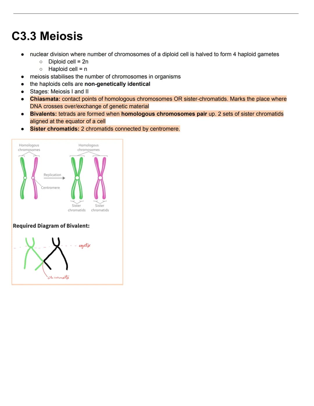 C3.1 Genes
● Gene: particular section of DNA strand that forms a specific protein. It is a heritable factor that influences a
characteristic