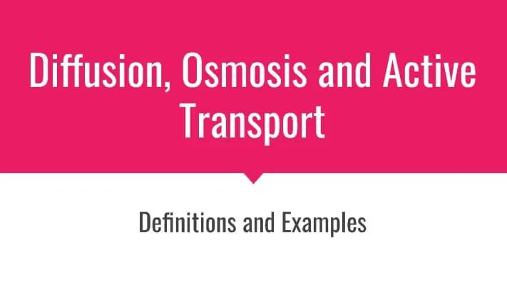 Know Diffusion, Osmosis & Active Transport thumbnail