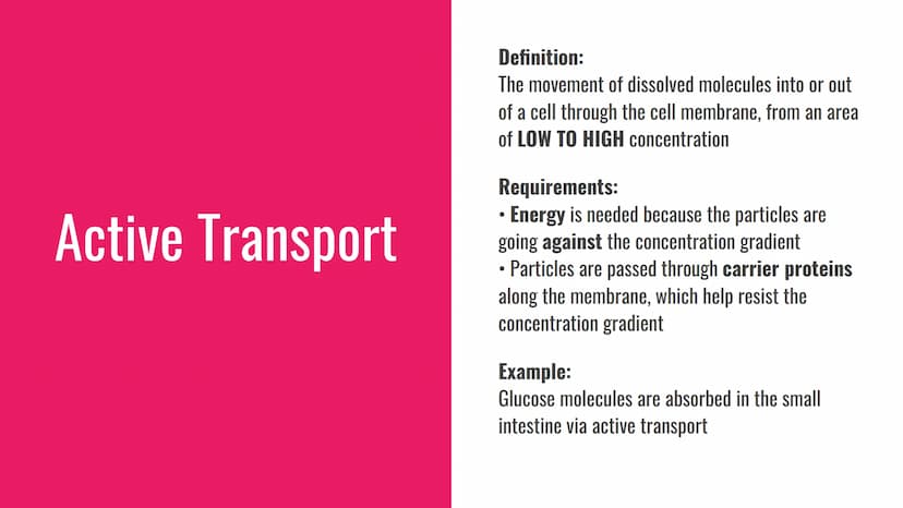 Diffusion, Osmosis and Active
Transport
Definitions and Examples Diffusion
Definition:
The net movement of particles in a gas or
solution fr