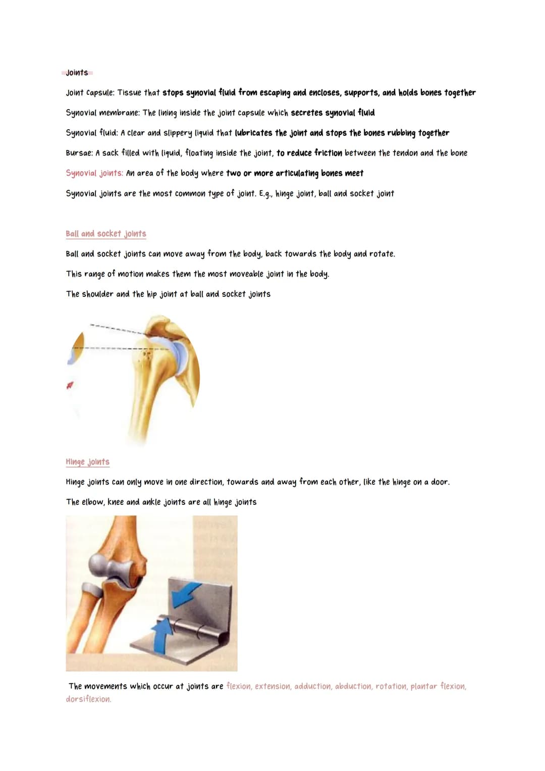 Physical Education revision notes
Scapula
Fibula
Talus
Humerus
Radius
Ulna
Tarsals
Metatarsals
Sacrum
Jaw bone
Vertebrae
Phalanges
Femur
Joi