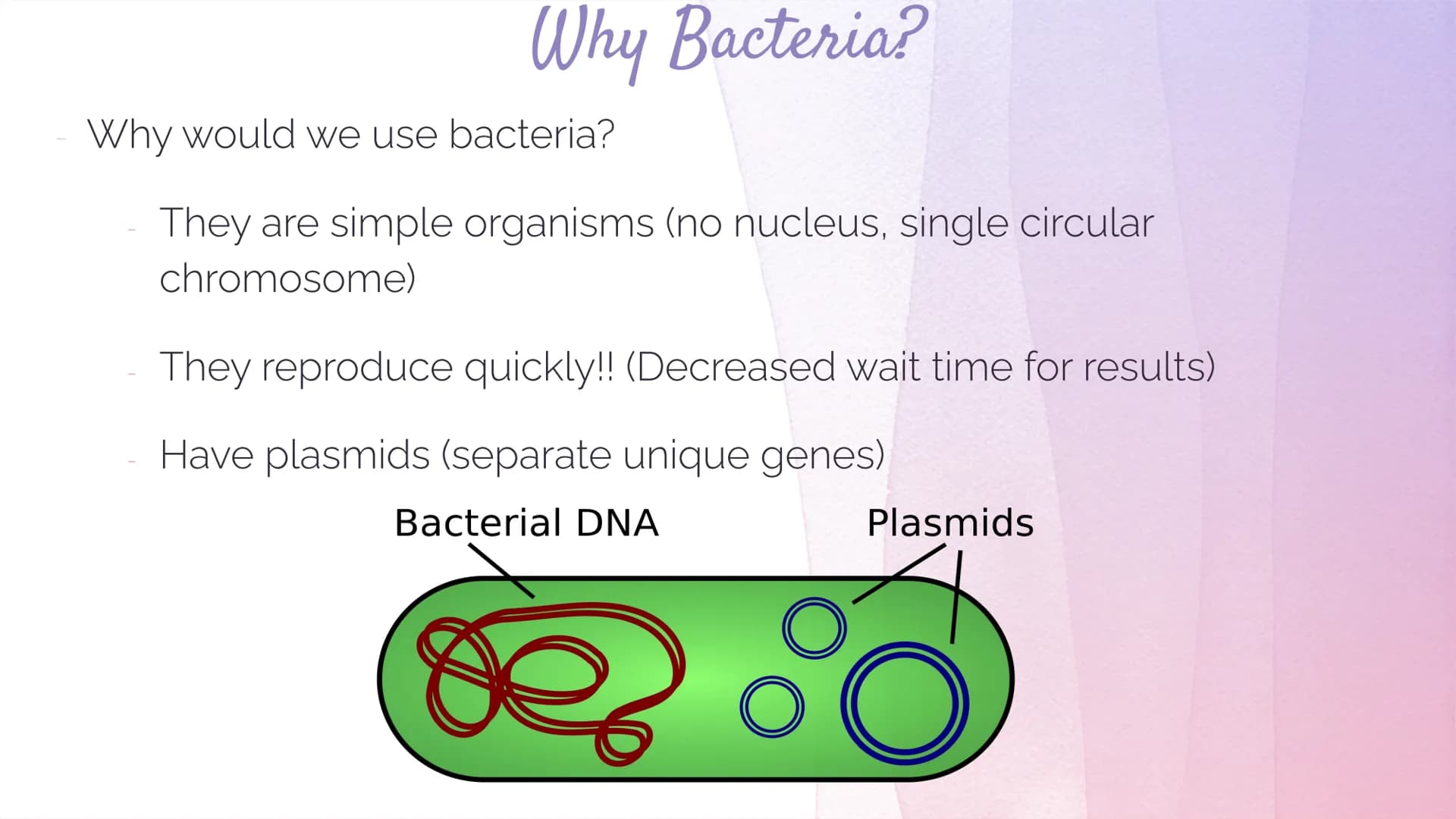 Biotechnology
Biotechnology→ DNA Technology
Manipulation of the genetic material
We use organisms to do this (hence BIOtech)
Use bacteria- E