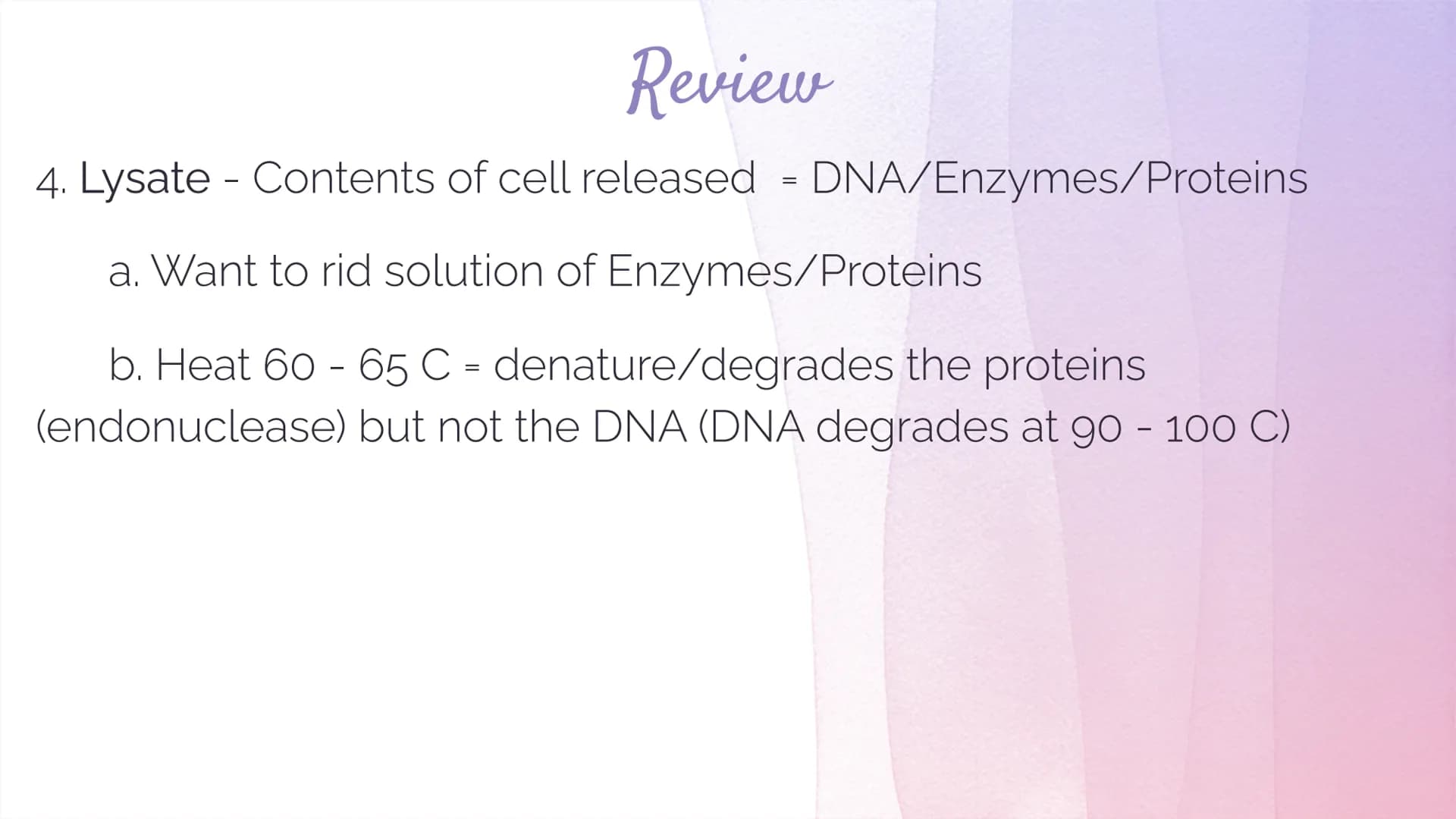 Biotechnology
Biotechnology→ DNA Technology
Manipulation of the genetic material
We use organisms to do this (hence BIOtech)
Use bacteria- E