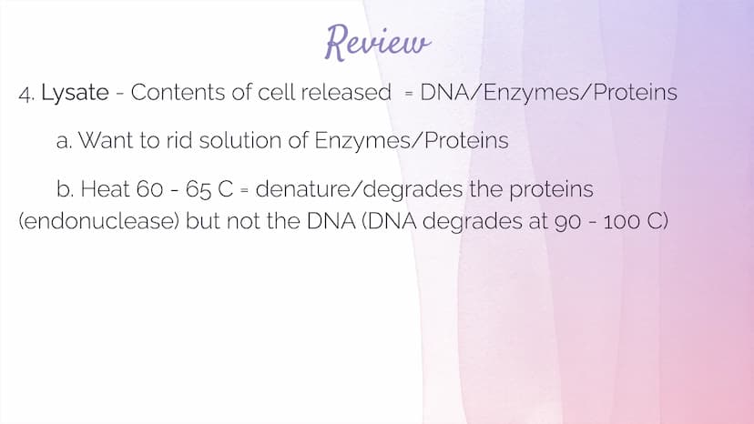 Biotechnology
Biotechnology→ DNA Technology
Manipulation of the genetic material
We use organisms to do this (hence BIOtech)
Use bacteria- E