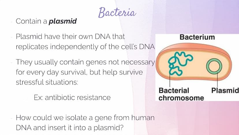 Biotechnology
Biotechnology→ DNA Technology
Manipulation of the genetic material
We use organisms to do this (hence BIOtech)
Use bacteria- E