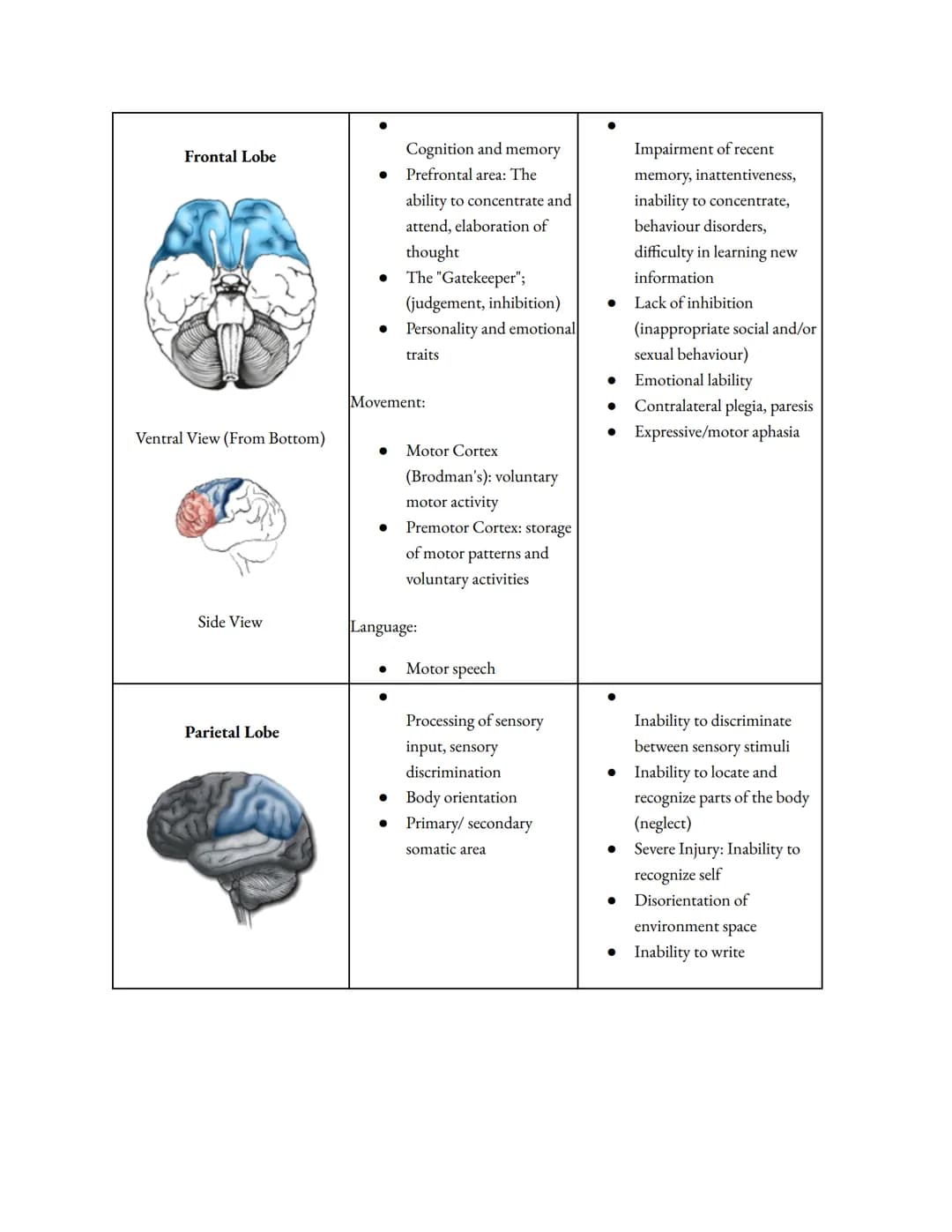 
<h2 id="leftbrainfunctionsego">Left Brain Functions (Ego)</h2>
<p>The left brain is characterized by its use of logic and attention to deta