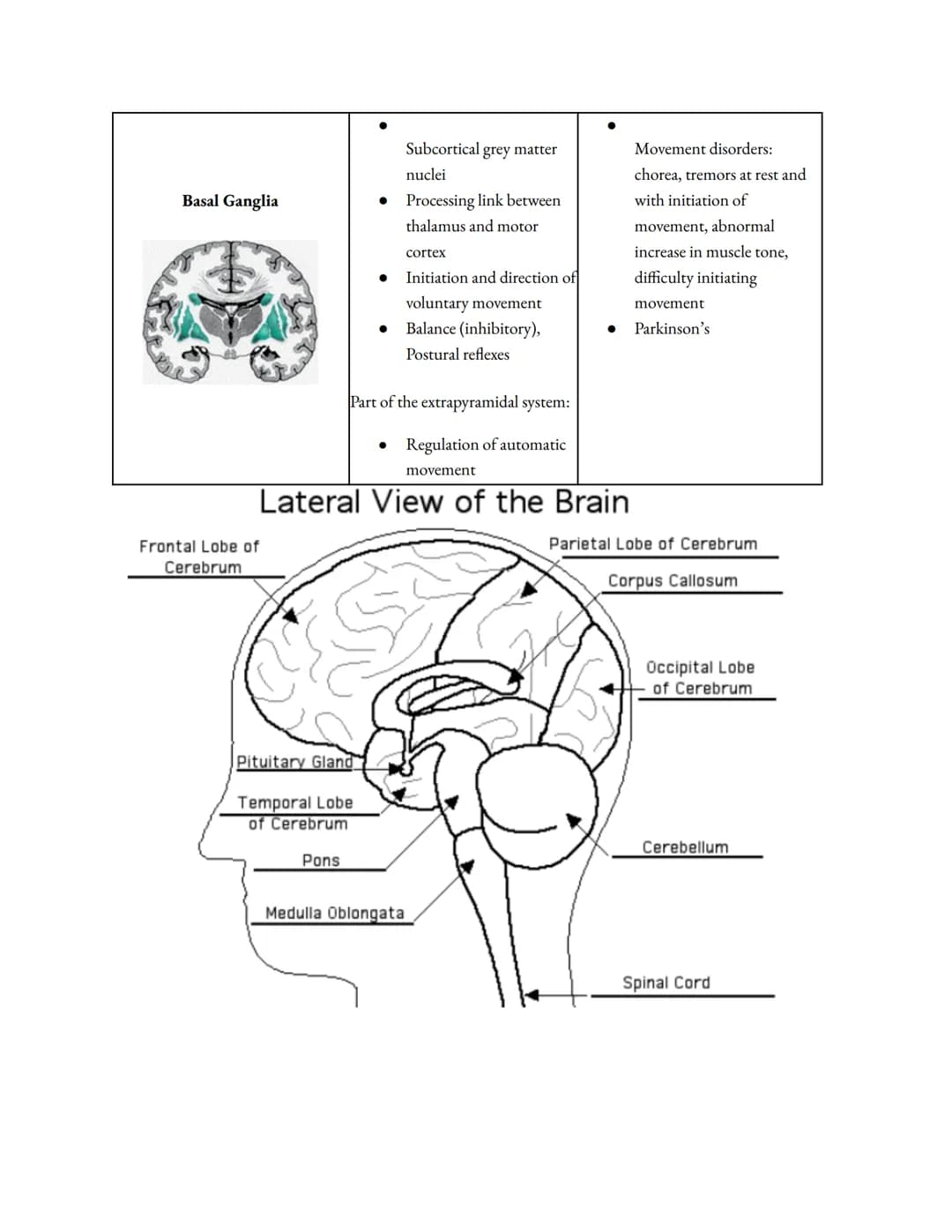 
<h2 id="leftbrainfunctionsego">Left Brain Functions (Ego)</h2>
<p>The left brain is characterized by its use of logic and attention to deta