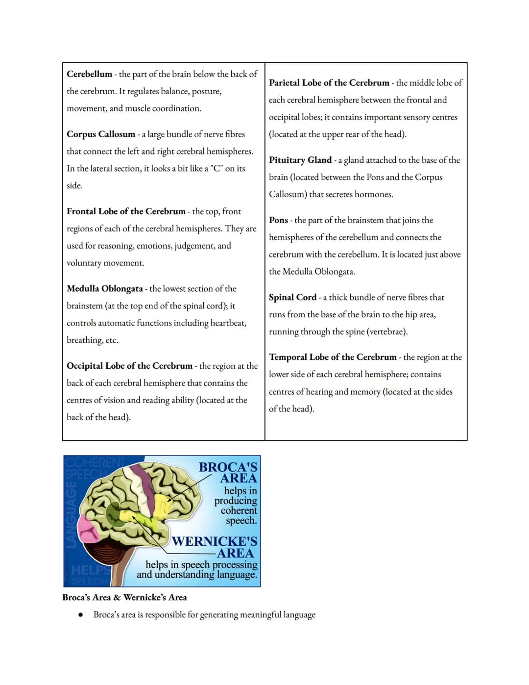 
<h2 id="leftbrainfunctionsego">Left Brain Functions (Ego)</h2>
<p>The left brain is characterized by its use of logic and attention to deta